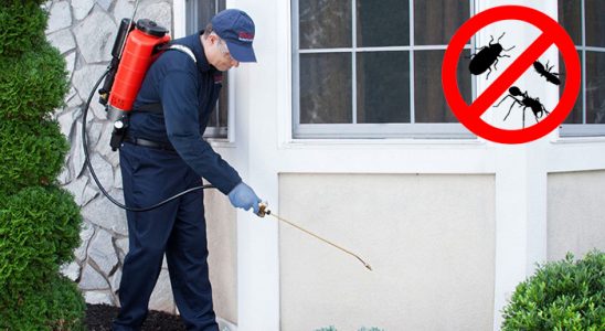 Evka 2 Pire İlaçlama böcek ilaçlama ve haşere kontrolü — ilaclama-tr.com